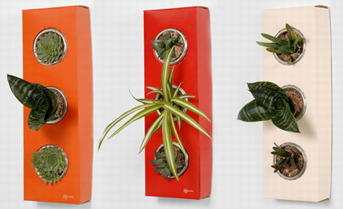 �w���߱�4��⻨��