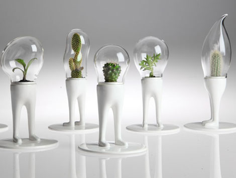 超級搞笑!穿褲子的盆栽