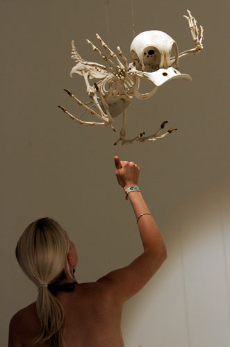 ��ʿ����ͨ�������tչ