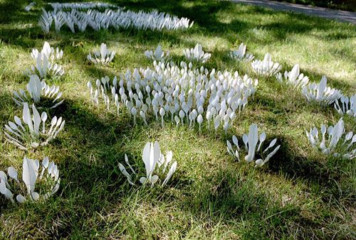 һ���Բ;�ƴ���e��ˇ�g