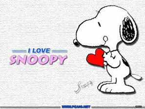 ��̖���Fmiffy�ڙ�󲩵�ʷŬ�Ȫ����ڙ�