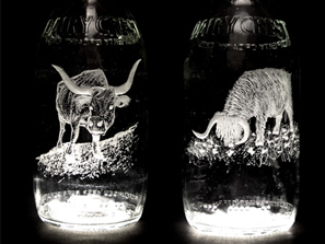 ţ��ƿ�ĵ�̹�ˇ ���⽛��