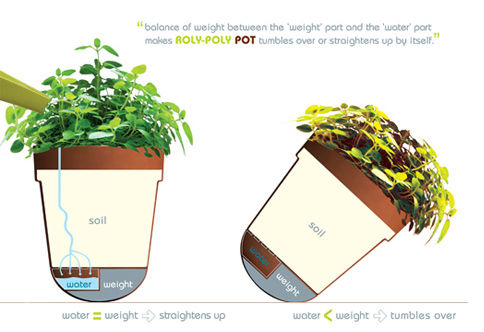 ���ⲻ���̻���