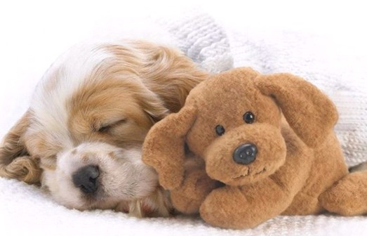 親,我想多睡一小時……