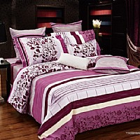 ��ʿ����