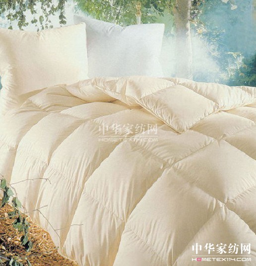 ��q�� �����w�|����x��