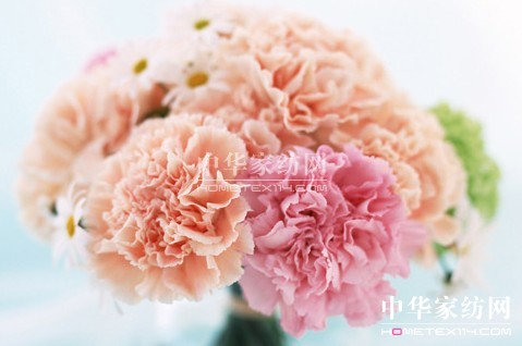 ĸ�H��(ji��)��׌�Ҽ����o������˯��