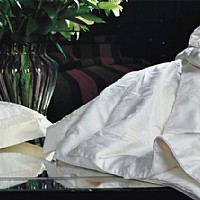 �����Q�z�ı�