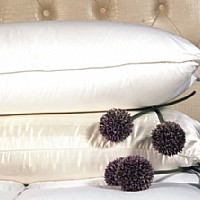 �߿��F����