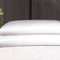 ��Ȼ���z��