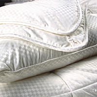 ����һ��̼��ܰ��