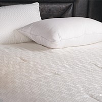 ����(x��)��q�ı���