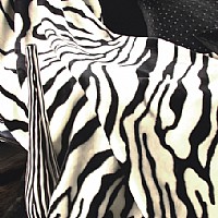 ���؁�ˬ�w̺-���R�y