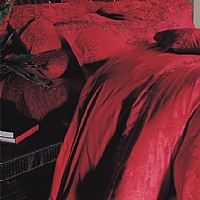 ��ɫ����