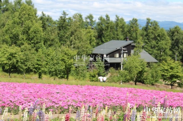 ����Ҽ���푡����ڲ��������ϱ����������������