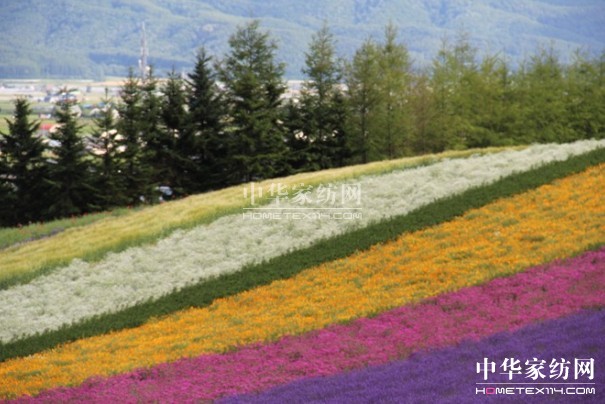 ����Ҽ���푡����ڲ��������ϱ����������������