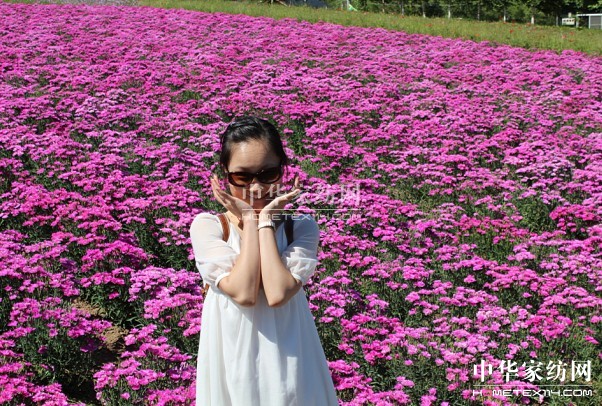 ����Ҽ���푡����ڲ��������ϱ����������������