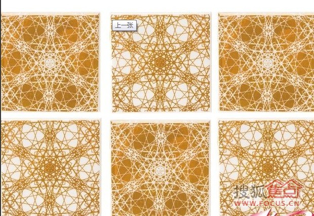 �A����ɫ�;����d����ʢ��(��)