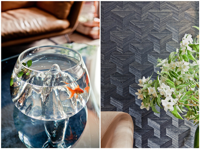 ���愓����轨�����ĉ����w��