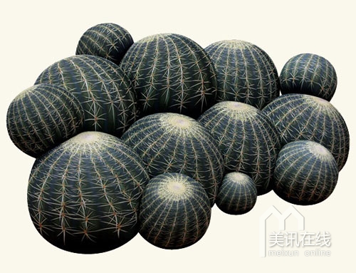 Maurizio Galante:仙人掌沙發