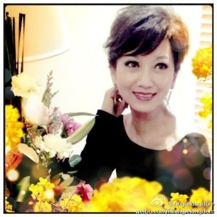 �w��֥�������� ����������@�@