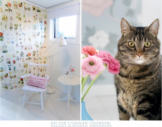 ���ˇ�g��Helena����������Ҿ�