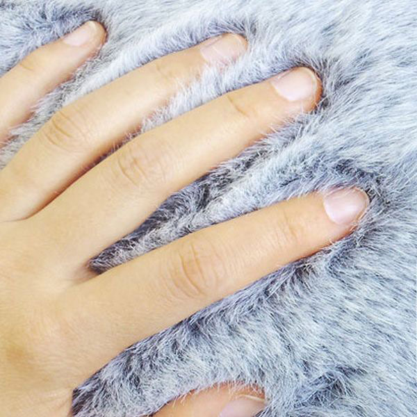 ����Ą�����ӣ�AnimalStool��