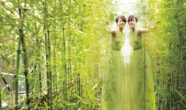 ��ԁ���Ƿ��� �Q�J�R�Ϲ��������