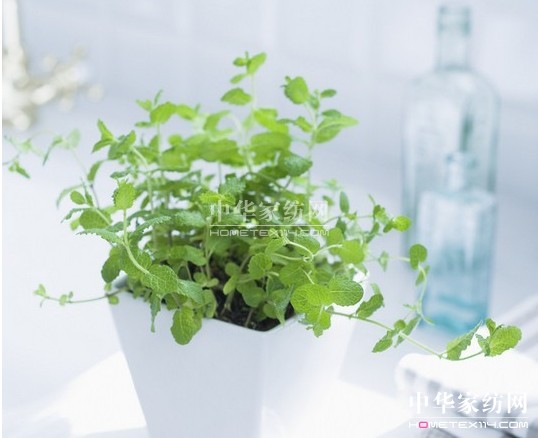 ���_�mС�Nʿ  ���ȥ���҃��^��Դ