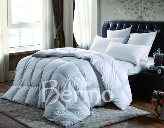 ���z�Ҽ�����¶���㡱�����ӣ�