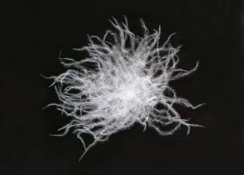 ��q����ʲô��ů�����