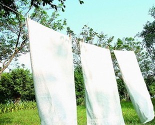 �����ޱ����������f���x