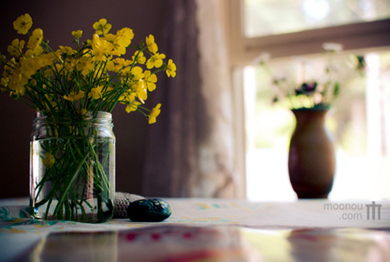 ��M���cζ���͹Ŝ�ů�ļ�