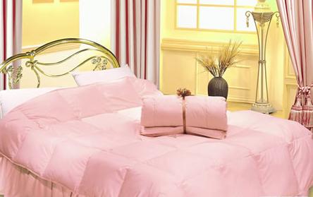 ��q���ı��B����