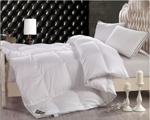 ���ˍu����q���ı��B֪�R