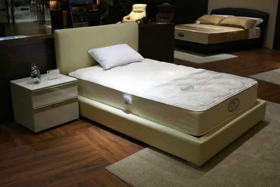 ��֪�����l�l(f��)����ϯ��(m��ng)˼�᣿