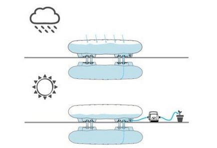 可以自動澆灌植物的蓄水沙發(fā)