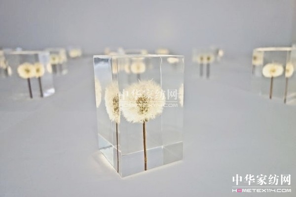 ������͸���ѹ�Ӣ���K��