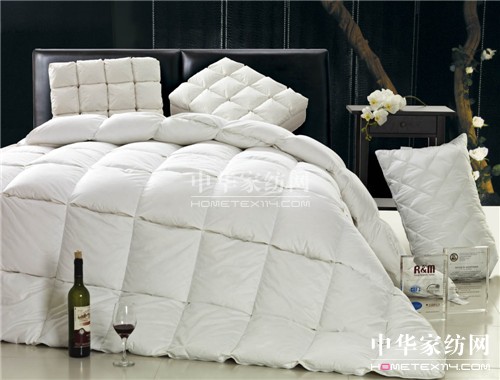 �����u�D(zhu��n)�� �������v��