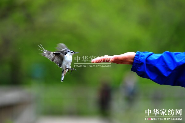 ��ُ��Ϋ@��͵����θУ�