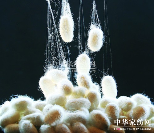 ��z�c����z�ą^(q��)�e