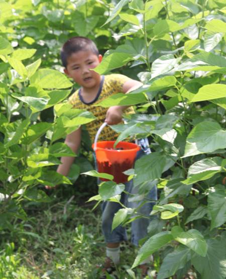 ���ýz�I�׌�ɣ�ز�ժ�������ء���ϲ��