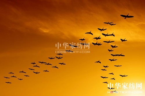 領導力之根——信譽和穩(wěn)定