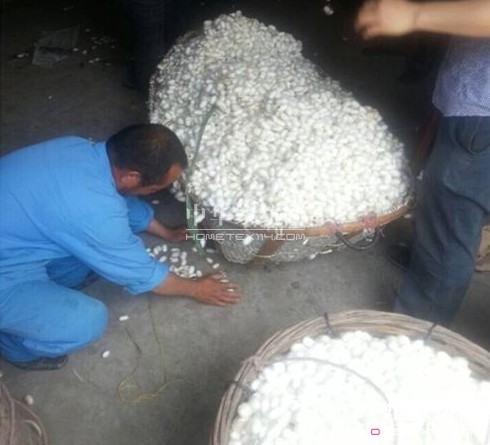 ͩ�l(xi��ng)�����d�ȵ��_ʼ��ُ���괺�O