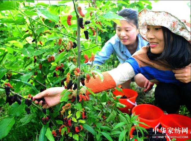 ���ýz�I��ɣ�ز�ժ��(ji��)�A�M��Ļ