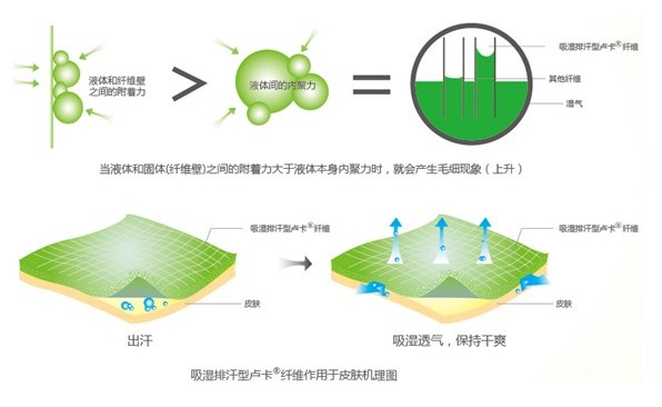 �ļ���Ʒ�o�B����ϴ��߀����