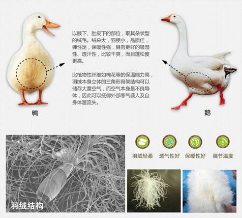 �W�ɼҼ����������u�������xُ��Ʒ����q��