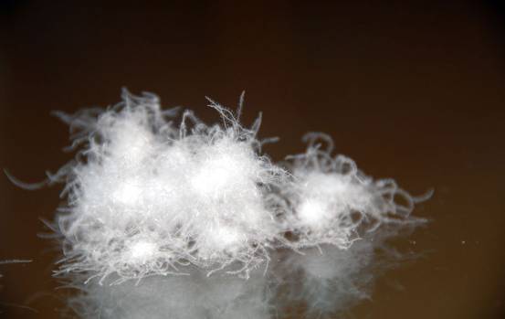 �W�ɼҼ����������u�������xُ��Ʒ����q��