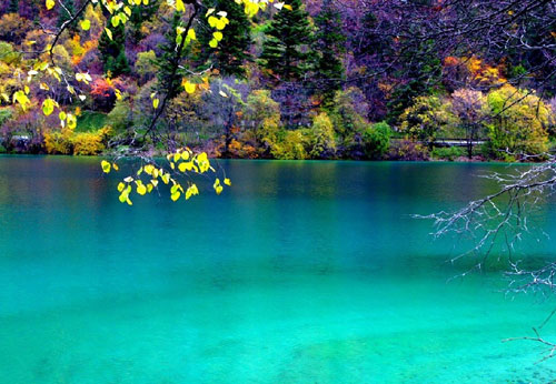 �Ї��Ҽ��f�����Ĵ������{��