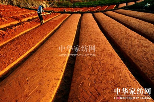 ̓�M�\(y��n)�I��ԓ��ξ�����(x��)��